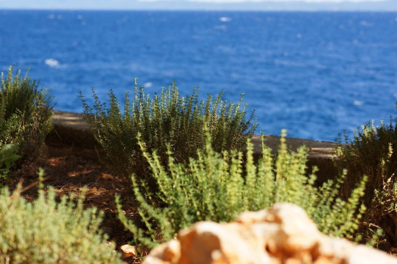 Villa Pod Borom Sveta Nedelja  Dış mekan fotoğraf